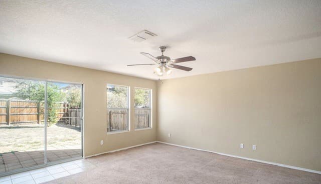 126 Palma Noce — photo 2