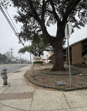 923 Vance Jackson Unit 1301 — photo 1