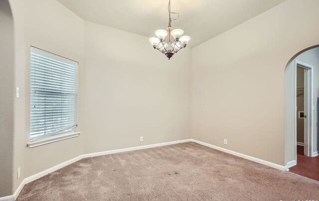 13127 Essen Frst — photo 4