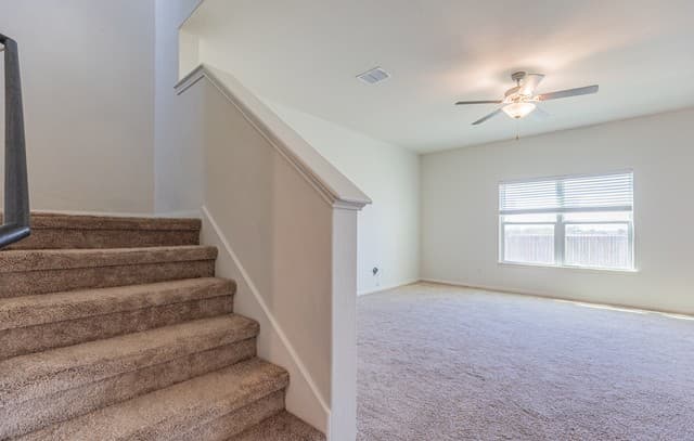 11038 Eyelet — photo 4