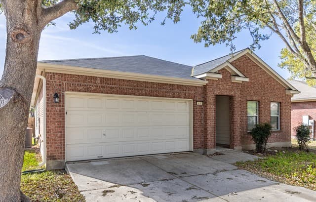 648 Rooster — photo 2