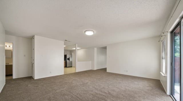 6863 Cypress Mist — photo 5