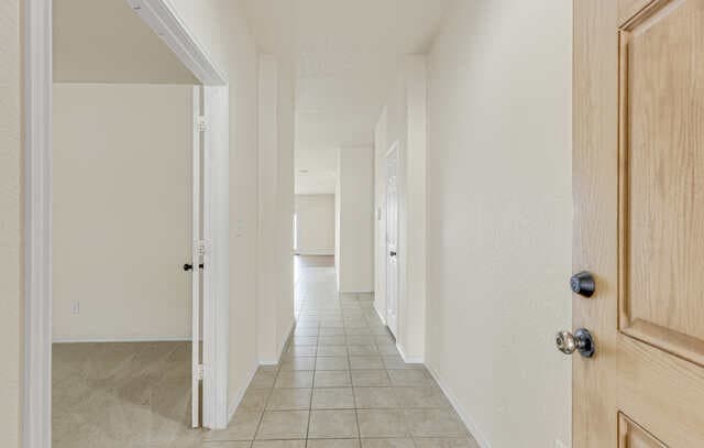 322 Walnut Crest — photo 4