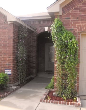 10925 Almond Wood — photo 3