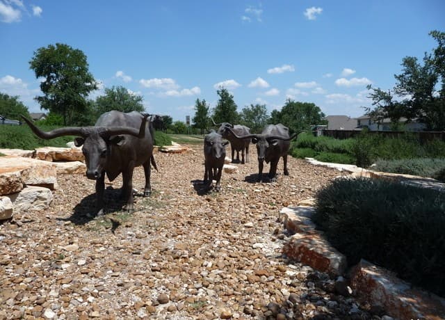 4-bedroom rental at 713 Brown Thrasher in San Antonio, TX — photo 4