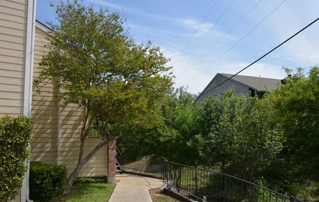 1-bedroom rental at 11610 Vance Jackson Unit 105 in San Antonio, TX — photo 3